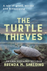 Turtle Thieves