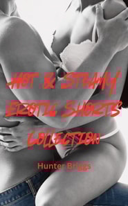 Hot & Steamy Erotic Shorts Collection