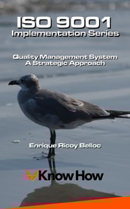 ISO 9001 Implementation Series. Quality Management System a Strategic Approach