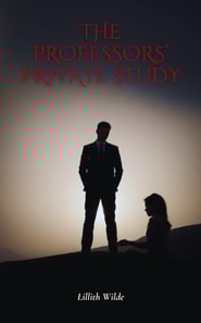 Professor's Private Study