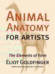 Animal Anatomy for Artists
