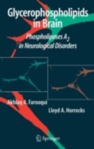 Glycerophospholipids in the Brain