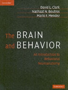 Brain and Behavior