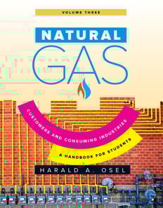 Natural Gas: Consumers and Consuming Industry