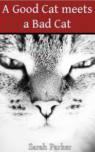 Good Cat meets a Bad Cat