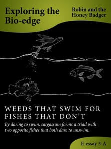 Weeds That Swim For Fishes That Don't