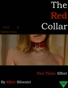 Red Collar Part Three: Effort