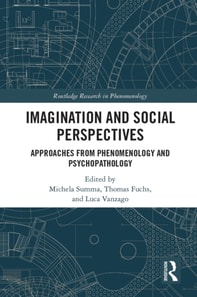 Imagination and Social Perspectives
