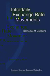 Intradaily Exchange Rate Movements