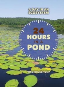 24 Hours in a Pond