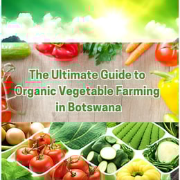 Ultimate Guide to Organic Vegetable Farming in Botswana