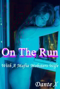 On The Run: With A Mafia Mobsters Wife