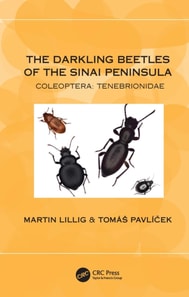 Darkling Beetles of the Sinai Peninsula