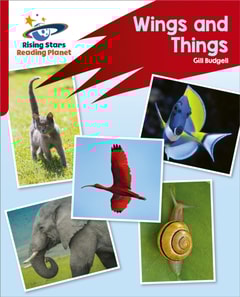 Reading Planet: Rocket Phonics   Target Practice   Wings and Things   Red B