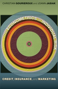 Econometrics of Individual Risk