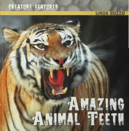 Amazing Animal Teeth