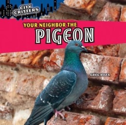Your Neighbor the Pigeon