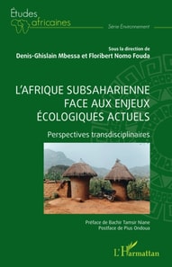 L'Afrique subsaharienne face aux enjeux écologiques actuels