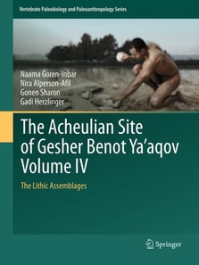 Acheulian Site of Gesher Benot Ya'aqov Volume IV