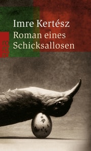 Roman eines Schicksallosen