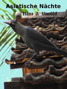 Asiatische Nächte