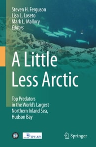 Little Less Arctic