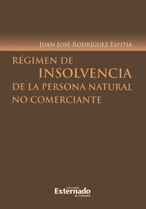 Régimen de insolvencia de la persona natural no comerciante