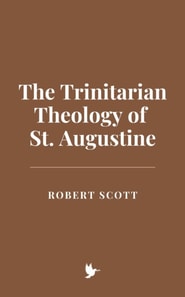 Trinitarian Theology of St. Augustine