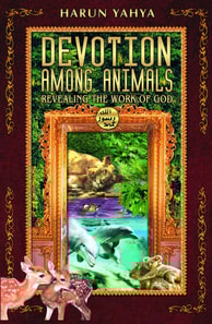 Devotion Among Animals  Revealing the Work of God