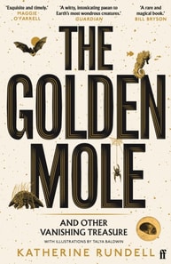 Golden Mole