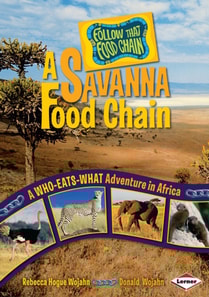 Savanna Food Chain