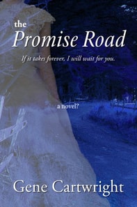Promise Road