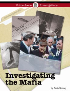 Investigating the Mafia