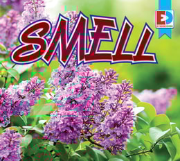 Smell