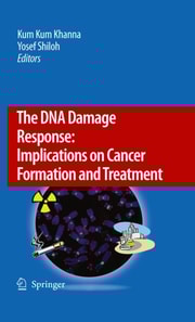 DNA Damage Response: Implications on Cancer Formation and Treatment
