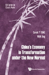 China's Economy In Transformation Under The New Normal