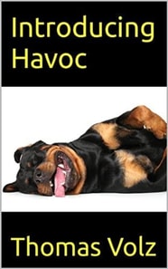 Introducing Havoc