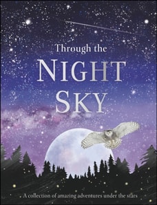 Through the Night Sky