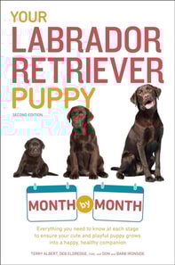 Your Labrador Retriever Puppy Month by Month, 2nd Edition