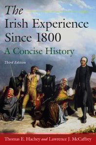 Irish Experience Since 1800: A Concise History