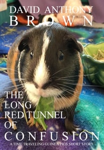 Long Red Tunnel of Confusion: A Time Traveling Guinea Pigs Short Story