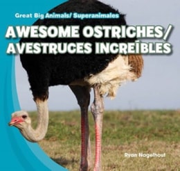 Awesome Ostriches / Avestruces increibles