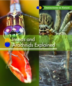 Insects and Arachnids Explained
