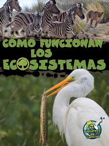 Como funcionan los ecosistemas