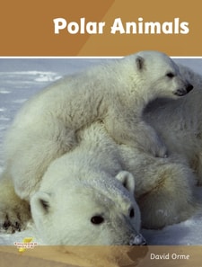 Polar Animals