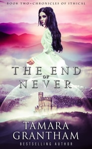 End of Never