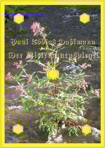 Der Ritterinnenspiegel