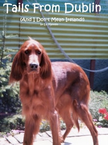 Tails From Dublin (And I Don't Mean Ireland!)