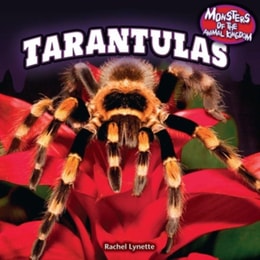 Tarantulas