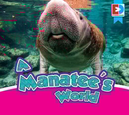 Manatee's World